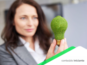 Empresa sustentável: O que é e como se tornar uma