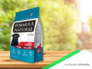 Adimax: sustentabilidade que inspira