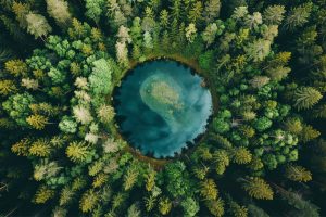 Conheça as 5 principais tendências de IA que estão impulsionando soluções inovadoras para os desafios ambientais.