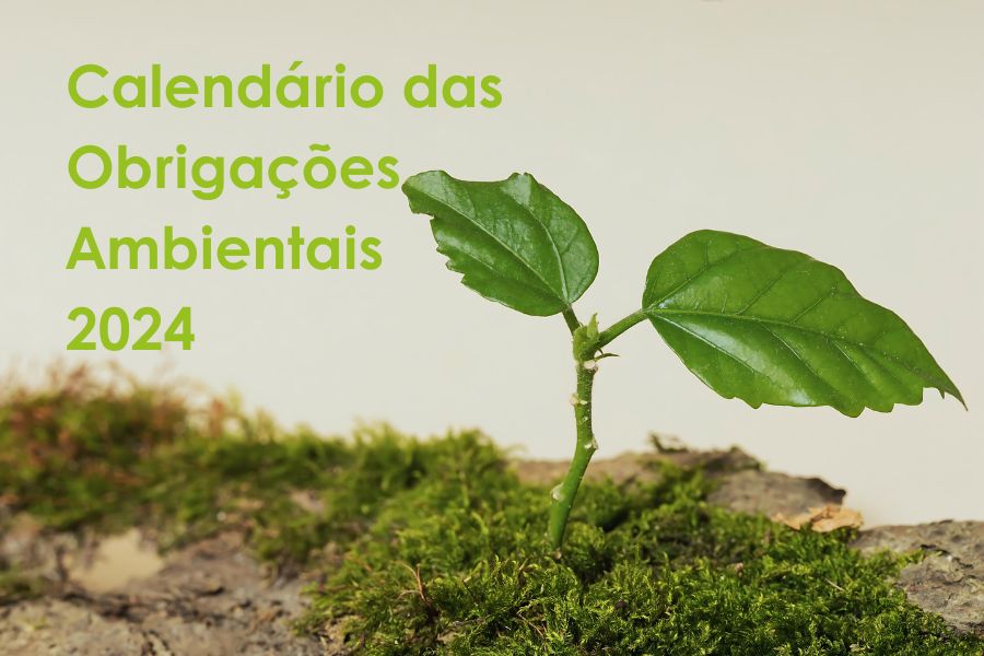 Não deixe de cumprir suas obrigações ambientais! Confira as datas de entrega dos relatórios com nosso calendário ambiental 2024.
