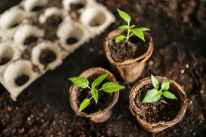 Descubra como a compostagem transforma resíduos orgânicos em adubo, reduz o lixo em aterros sanitários e promove a sustentabilidade.