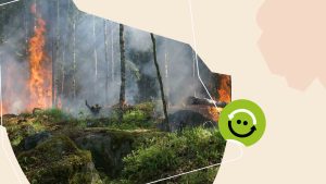 Mudanças Climáticas: causas, consequências e eventos extremos