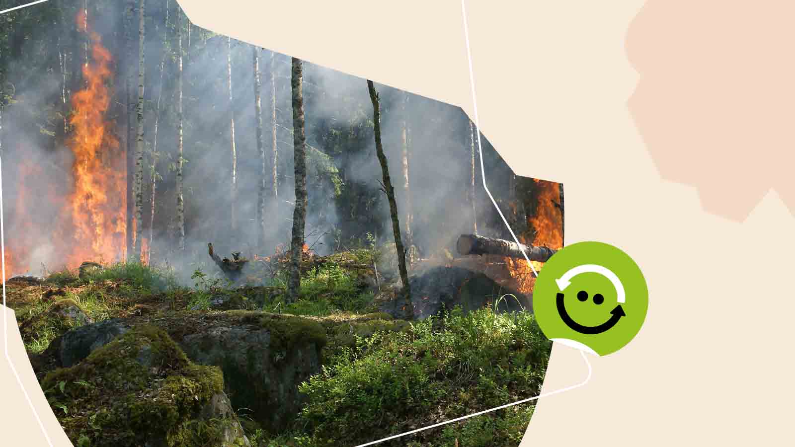 Mudanças Climáticas: causas, consequências e eventos extremos