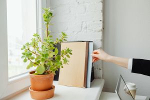 relatório esg sustentabilidade