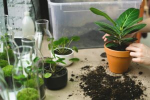 O que é pegada ecológica? | eureciclo