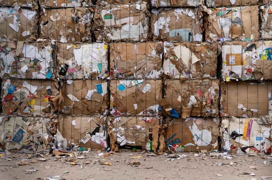 Reciclagem de papel: como funciona e por que é tão importante?