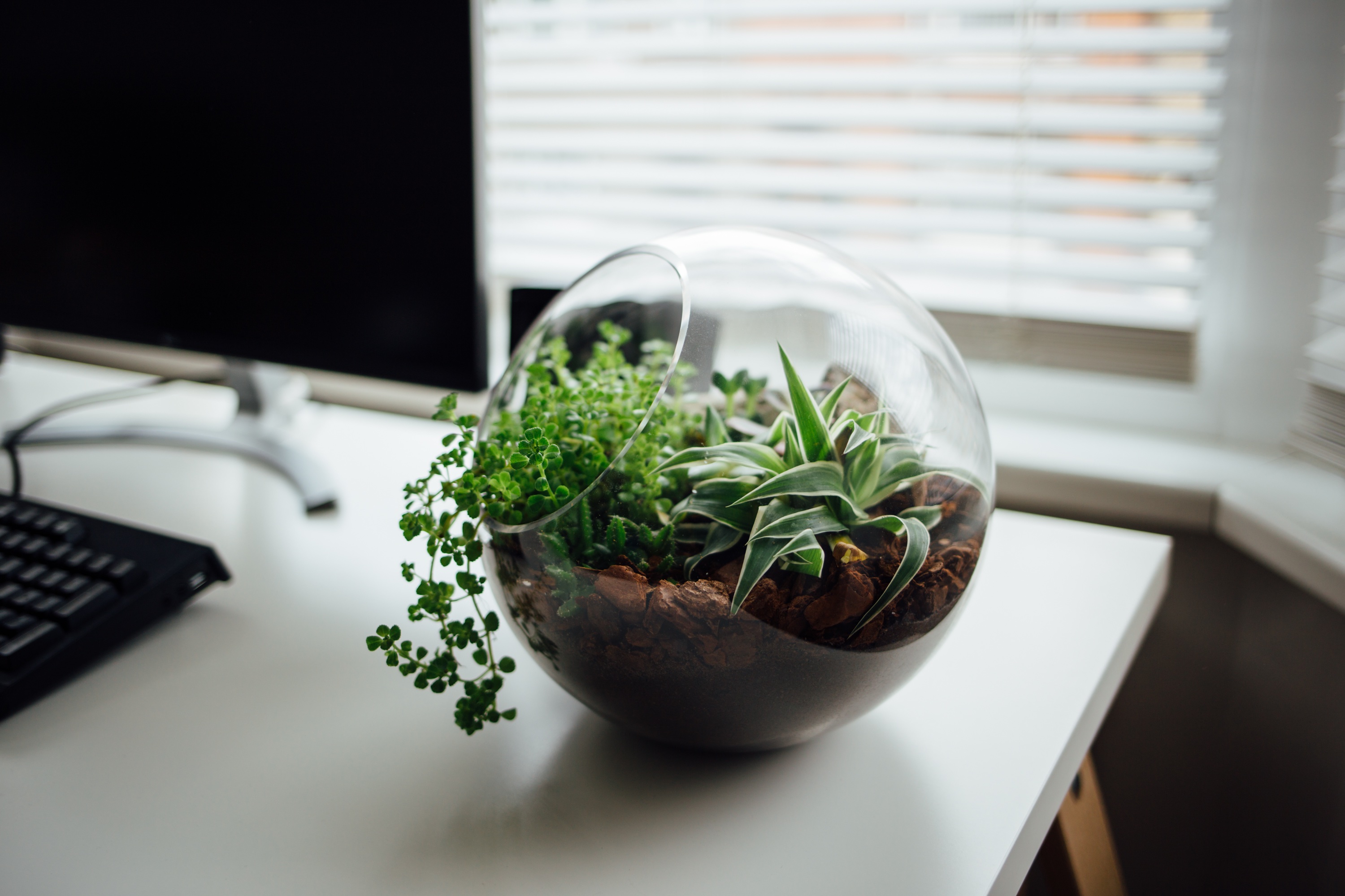 Logística Reversa: como inovar a sustentabilidade da sua empresa