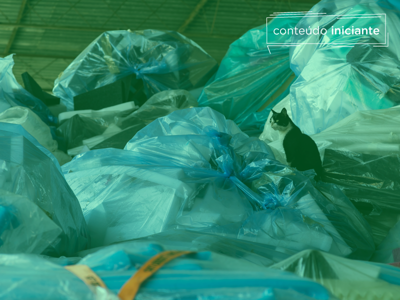 Por que o Brasil recicla tão pouco?