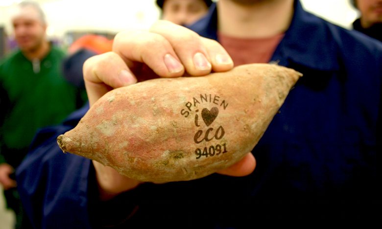 Os produtores resolveram trocar aqueles adesivos que vem em frutas e produtos hortícolas pelo chamado "natural branding" de alta tecnologia.